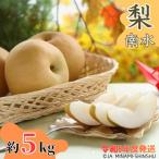梨 南水 約5kg