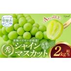 ふるさと納税 【2024年/令和6年発送分】シャインマスカット　2.0kg相当 山梨県甲斐市