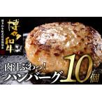 ショッピングふるさと納税 ハンバーグ ふるさと納税 AB268.手ごね博多和牛ハンバーグ１０個 福岡県新宮町