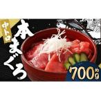 本マグロ 中トロ 約700g