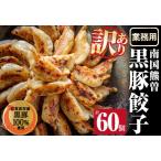 志布志産黒豚100%使用 南国熊曽黒豚餃子 60個