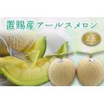 置賜産マスクメロン アールスメロン 約1.75kg以上×1玉_H245