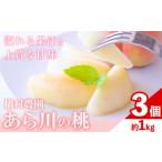 ふるさと納税 【先行予約】ブランド桃 あら川の桃 大玉3個入り もも 橋村農園《2026年7月上旬‐8月上旬出荷》和歌山県 紀の川市 和歌山県紀の川市