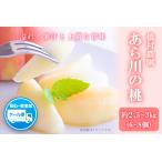 ふるさと納税 【先行予約】【大玉】 あら川の桃 約2.5kg-3kg(6-8個※1個300g以上)橋村農園《2026年7月上旬-8月上旬頃出荷》和歌山県 紀の川.. 和歌山県紀の川市