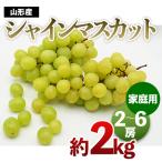 山形のシャインマスカット 優品 約2kg