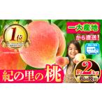 ふるさと納税 桃 もも モモ 紀の里の桃 約2kg 6〜8玉入り《6月中旬-8月中旬頃出荷》【一部離島配送不可】桃桃 和歌山県紀の川市