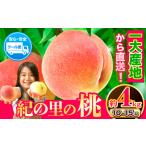 ふるさと納税 桃 紀の里の桃 約4kg 10-15玉入り(先行予約)《6月中旬-8月中旬頃出荷》桃桃桃桃 和歌山県紀の川市