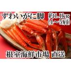 ずわいがに脚1.1kg 4~5肩 B-11051