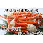 根室 市場 ずわいがに脚1.1kg 4~5肩