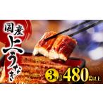 ふるさと納税 九州産うなぎ蒲焼3尾(計480g以上&さんしょう、たれ付き)うなぎ 鰻 ウナギ 鰻蒲焼き うなぎ蒲焼き 国産 3尾 特大 宮崎 冷凍 うな.. 宮崎県宮崎市