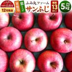 りんご 葉とらず ふじ 約5kg