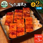 うなぎの蒲焼き 小 2尾×3回