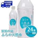天然水 ふらの原始の泉 富良野産