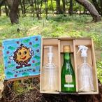 EC004. 進化したまつぼっくり洗剤リピーター様向け3kgBOX
