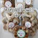 ひなたぼっこ園セット