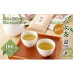 訳あり 八女茶詰合せ 100g×10本