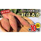 ふるさと納税 訳あり さつまいも 紅はるか 約10kg さつまいも さつまいも さつまいも さつまいも さつまいも さつまいも さつまいも 茨城県八千代町