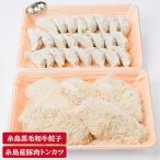 糸島産豚肉 ロース 衣付き カツ 5枚 ギョーザ 24個 セット