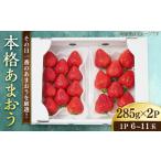 本格 あまおう 285g