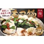 九州産 もつ鍋 梅~スープ 合計1.3kg