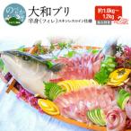 半身 フィレ 約1kg×2枚