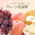 和歌山産フルーツ定期便の桃 梨 ピオーネ