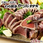 完全藁焼きカツオタタキ 約1.6kg