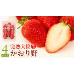 完熟 かおり野 260g×4パック