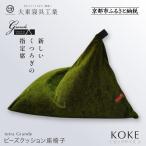 tetra grande koke ビッグサイズ