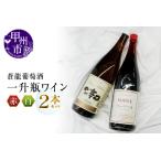 ふるさと納税 蒼龍葡萄酒一升瓶ワイン赤白2本セット(MG)B16-652 山梨県甲州市