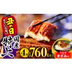 ふるさと納税 【期間・数量限定・丑の日(2025年7月31日)までにお届け】九州産うなぎ蒲焼4尾(計760g以上&さんしょう、たれ付き)うなぎ蒲焼き.. 宮崎県宮崎市