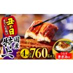 ショッピングうなぎ 国産 ふるさと納税 国産うなぎ蒲焼4尾(計760g以上) 鰻蒲焼 ウナギ蒲焼用たれ さんしょうのセット(うなぎ1尾180g以上の鰻4尾からなるウナギの詰め合わ.. 宮崎県宮崎市