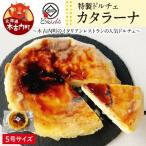どうなんde s特製ドルチェ カタラーナ