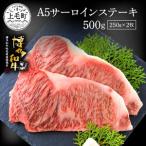 博多和牛A5サーロインステーキ 500g