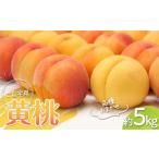 ふるさと納税 《先行予約 2025年度発送》フルーツ王国山形♪山形黄桃約5kgご自宅用 もも モモ 桃 ピーチ きもも おうとう フルーツ 果物 くだもの ギフ.. 山形県