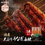 特大うなぎ 長焼 3尾