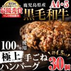 d0-033 産黒毛和牛100%使用極上手ごねハンバーグ計4.5kg 15…