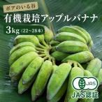 fu.... налог ......mo Chile еда чувство [ иметь машина Apple banana premium (3kg)][1534083] Okinawa префектура север средний замок .