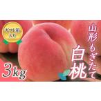 ふるさと納税 【先行受付 令和7年度発送】山形もぎたて白桃3kg ギフト箱入り もも モモ 桃 デザート フルーツ 果物 くだもの 果実 食品 山形県 FSY-022.. 山形県