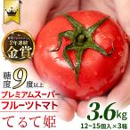 2~ スーパーフルーツトマト てるて姫 中箱 約1.2kg×3箱