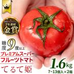 2~ スーパーフルーツトマト てるて姫 約800g×2箱