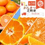 旬の柑橘定期便 田村みかん ポンカン 清見オレンジ