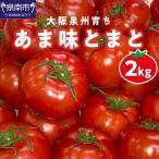 大阪泉州育ち あま味とまと 2kg