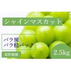 ふるさと納税 【2026年先行予約】訳あり シャインマスカット バラ房・バラ粒パック約2.5kg シャインマスカット 長野県生坂村