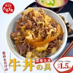 牛丼 牛丼の具 150g×10パック