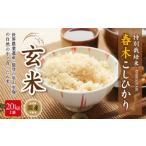 米 特別栽培米 春木 コシヒカリ 玄米 20kg