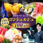 寄附額100万円コース コンシェルジュ