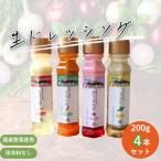 生ドレッシング 4本セット