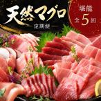 天然マグロ 食べ比べ ge008 FN-Limited-PR