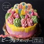 バースデーケーキ 化粧箱入り お誕生日のヴィーガンケーキ